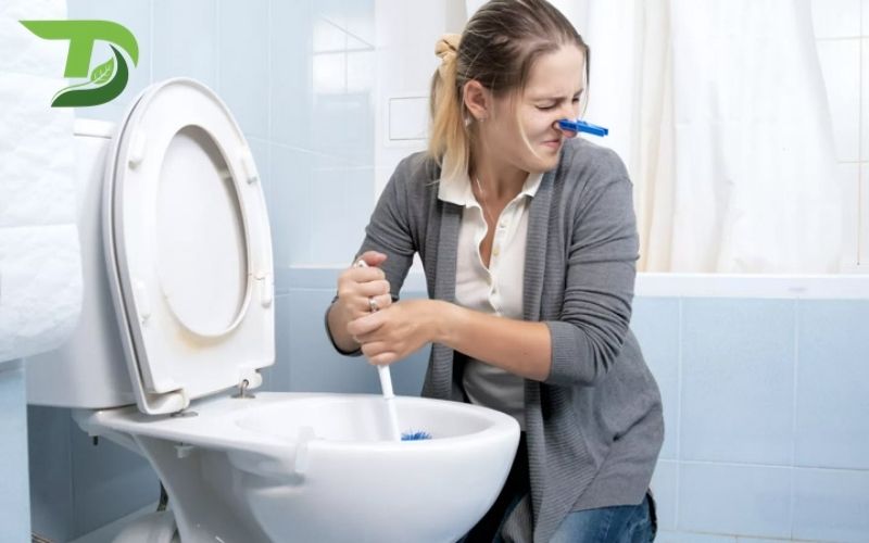 Hầm cầu bốc mùi hôi nặng