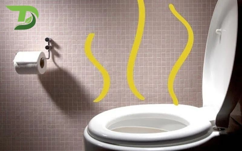 Cách giảm mùi hôi nhà vệ sinh