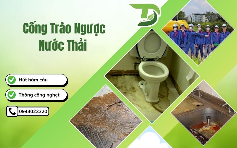Cống trào ngược nước thải