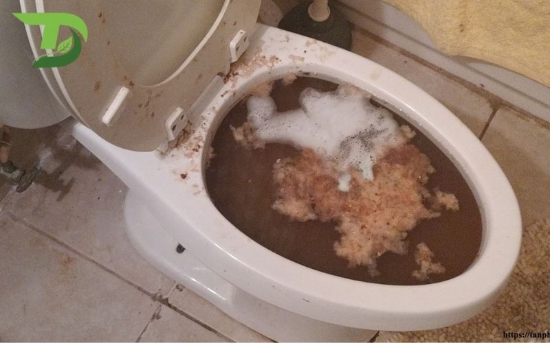 Hầm cầu bị tắc do giấy rác dầu mỡ