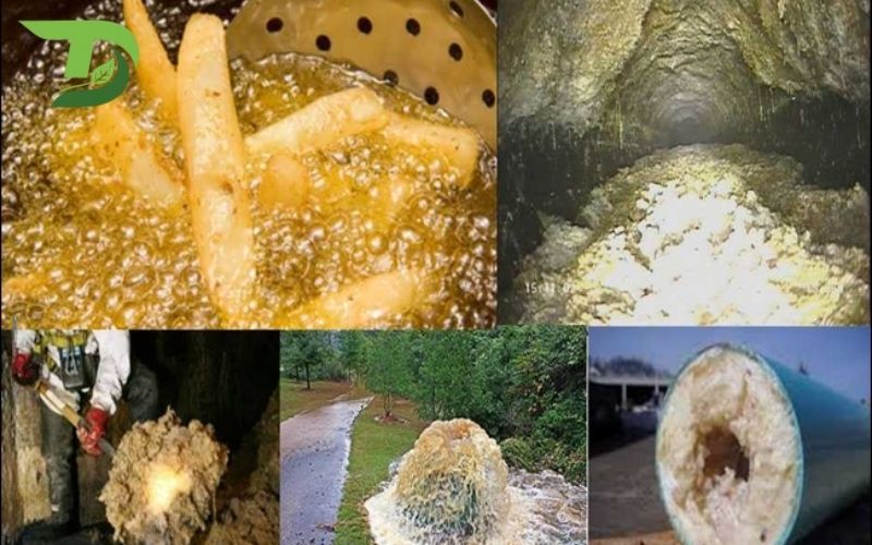 Nghẹt cống do dầu mỡ