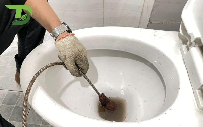 Thông bồn cầu Biên Hòa