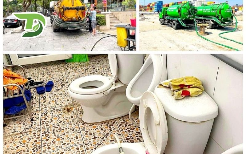 Thông bồn cầu Đất Đỏ