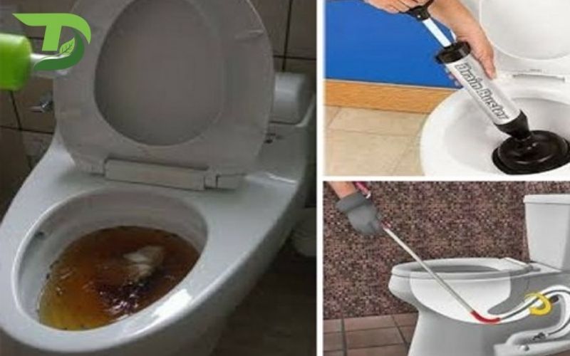 Thông bồn cầu Phú Mỹ