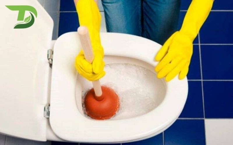 Thông bồn cầu Trảng Bom