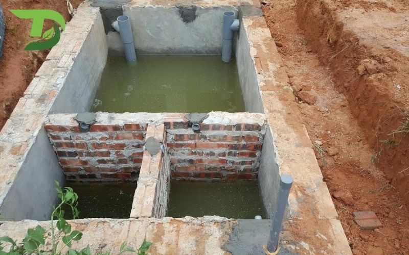 Hầm cầu tự hoại