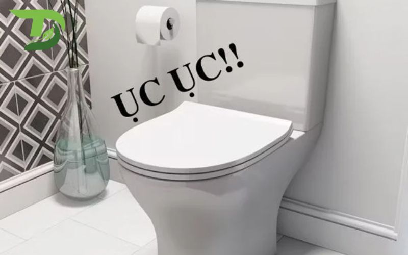 Bồn Cầu Kêu Ục Ục
