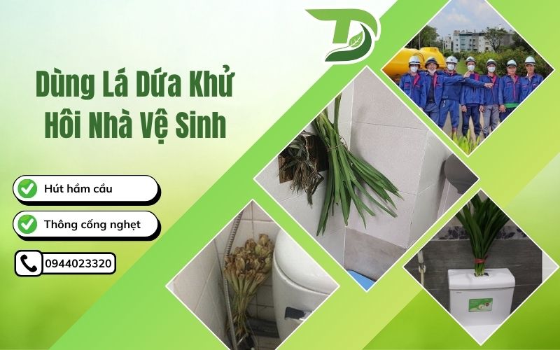 Dùng lá dứa khử hôi nhà vệ sinh