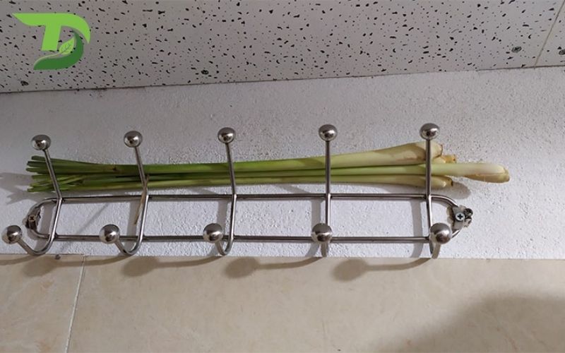 Dùng sả khử hôi nhà vệ sinh