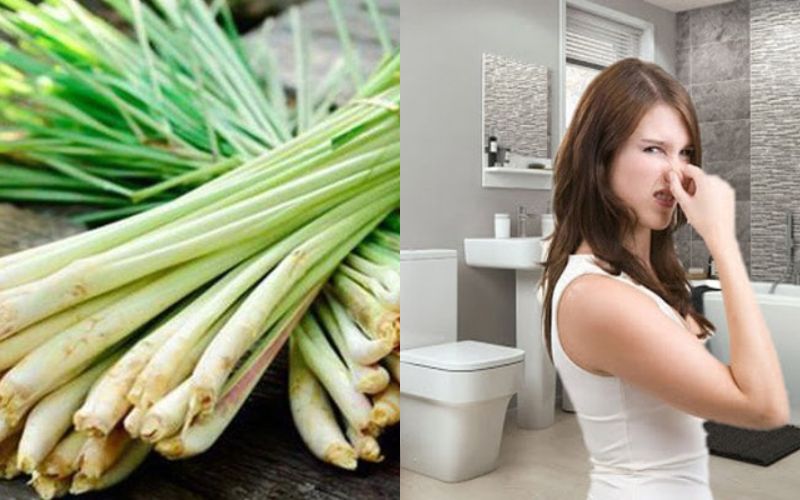 Dùng sả khử hôi nhà vệ sinh