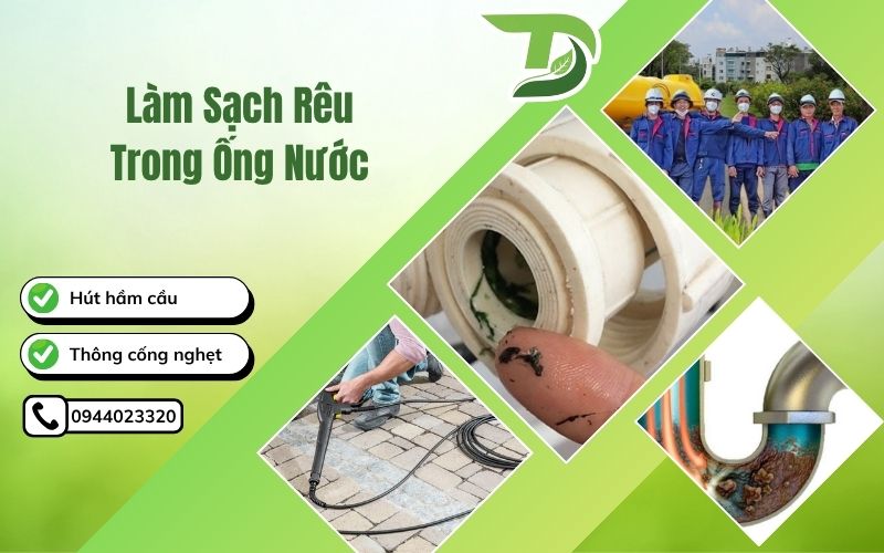 Làm sạch rêu trong ống nước