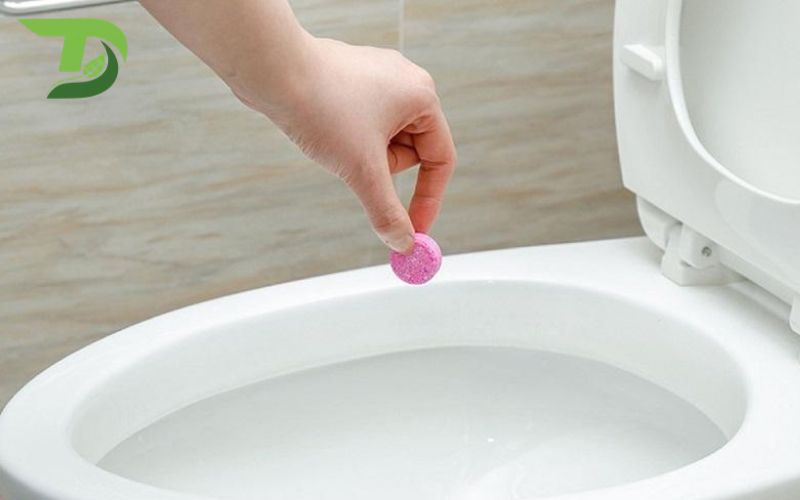 viên thông cống của nhật