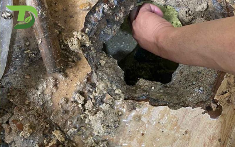 Hút hầm cầu Xã Trừ Văn Thố